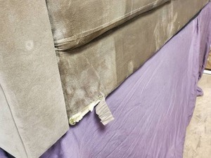Couch Lifestyle Solutions (see pic)