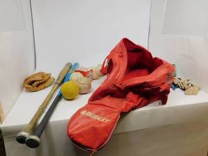 lot 27 image: Softball BatsBallsGlove