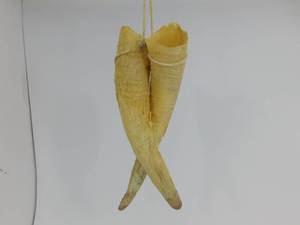 lot 85 image: Cow Horns
