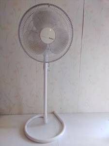 Holmes Standing Fan