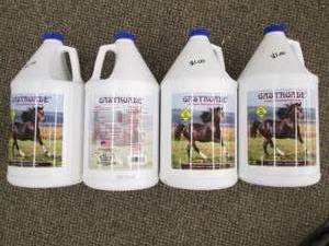 lot 7 image: (4) Gastroade Calcium Supplement f...