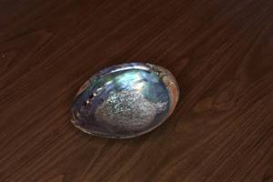 Clam Ashtray
