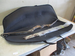 Xi Millenium Bow and Arrow and case