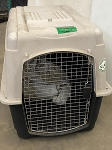 Large-Sized Dog Kennel