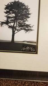 lot 9 image: Vikings Matt Blair Signed Black & White Photo