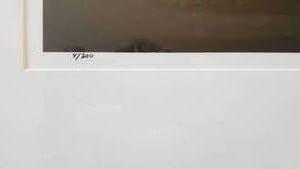 lot 8 image: Black & White Winter Trees Photo Signed and Numbered