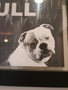 lot 24 image: Bulldog Framed Floating Screen Print By Toni Dachis