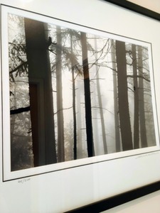 lot 43 image: Framed Edward Holland Photograph
