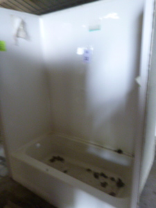 lot 32 image: White Tub with Surround