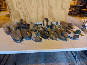 lot 140 image: Plastic Duck Decoys