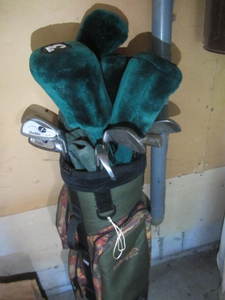 lot 218 image: Golf Clubs & Bag