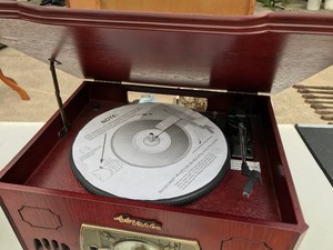 lot 48 image: Antique Records, Player, Radio Case