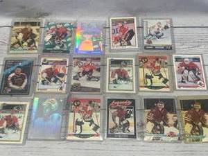 Lot of 17 Ed Belfour Hockey Cards