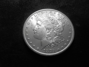 1879 S  Morgan Silver Dollar