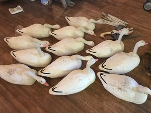 lot 81 image: Goose Decoys