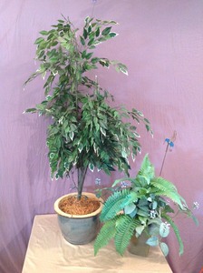 lot 286 image: Artificial Tree & Plant