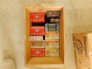 Shotgun Ammo