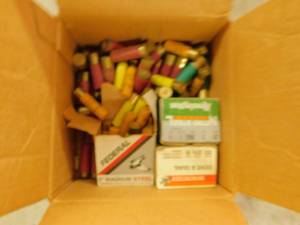 Assortment of Ammo