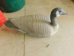 Duck Decoy