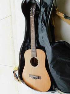 Sierra ST10 Compass Series Parlor Guitar