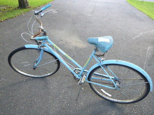 lot 30 image: Free Spirit Bike