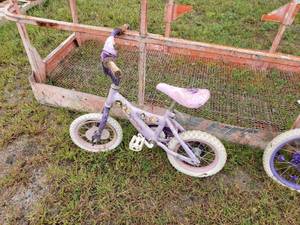 lot 42 image: Two Girls Bikes