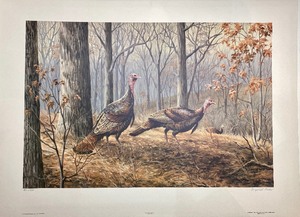 lot 292 image: OAK FOREST TURKEY by Maynard Reece Limited Edition