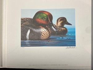 lot 295 image: GREEN-WINGED TEAL - 79-80 Stamp Design folderprintsigned stamp
