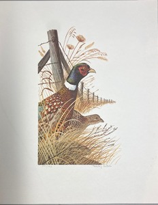lot 296 image: Pheasant Print