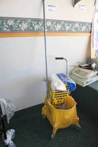 lot 164 image: Mop Bucket, Squeegee, Mop, 2-Mop Heads