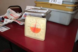 lot 210 image: Food Scale