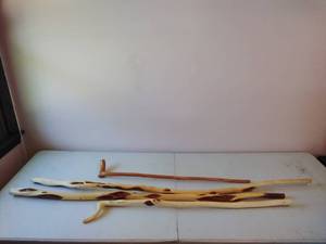 Four Walking Sticks