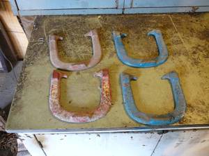 4 Horse Shoes