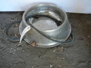 Electric Dog Dish