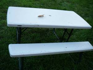 Plastic Picic Table