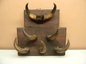 VINTAGE AWESOME CUSTOM HORN MOUNT - GREAT PIECE - NICE - SEE PICTURES