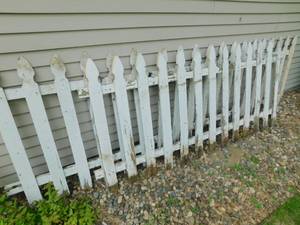 lot 74 image: White Fencing