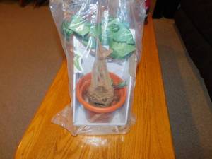 lot 144 image: Harry Potter Mandrake- Interaction Interactive Plush