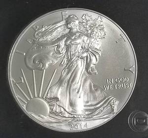 2014 AMERICAN SILVER EAGLE 1 TROY OZ. .999 FINE SILVER BLACK SLAB