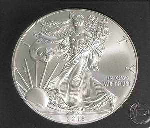 2015 AMERICAN SILVER EAGLE 1 TROY OZ. .999 FINE SILVER BLACK SLAB