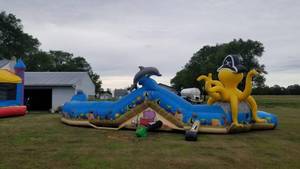 lot 5 image: Under The Sea Inflatable