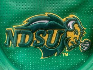 lot 9 image: NDSU Bison Womens Purse Clutch Bowler Style Bag