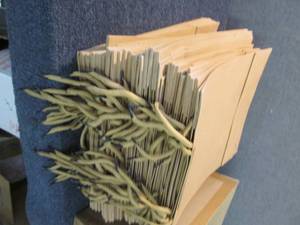 Stack of Large Craft Gift Bags...