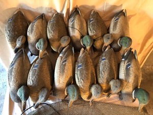 12 Piece Female and Male Karry-Lite Decoy Lot