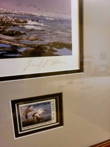 1985 Maine Duck Stamp Print By David Maass