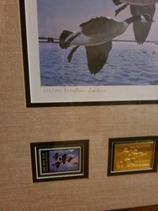 Framed 1985 New York Duck Stamp Print By Larry Barton