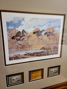 Framed 1987 New York Duck Stamp Print By Lee LeBlanc