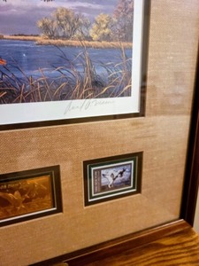 Framed Second New York Duck Stamp Print By David Maass