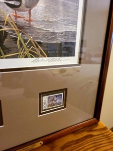 First Of Canada 1985 Mallards Print By Robert Bateman