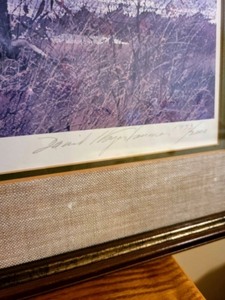 Framed Duck Print By David Hagerbaumer